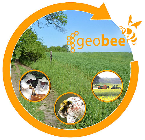 Logo geobee